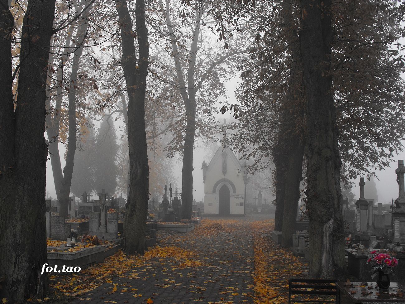 Poranna mga. Widok na kaplic cmentarn, 21.10.2012 r.