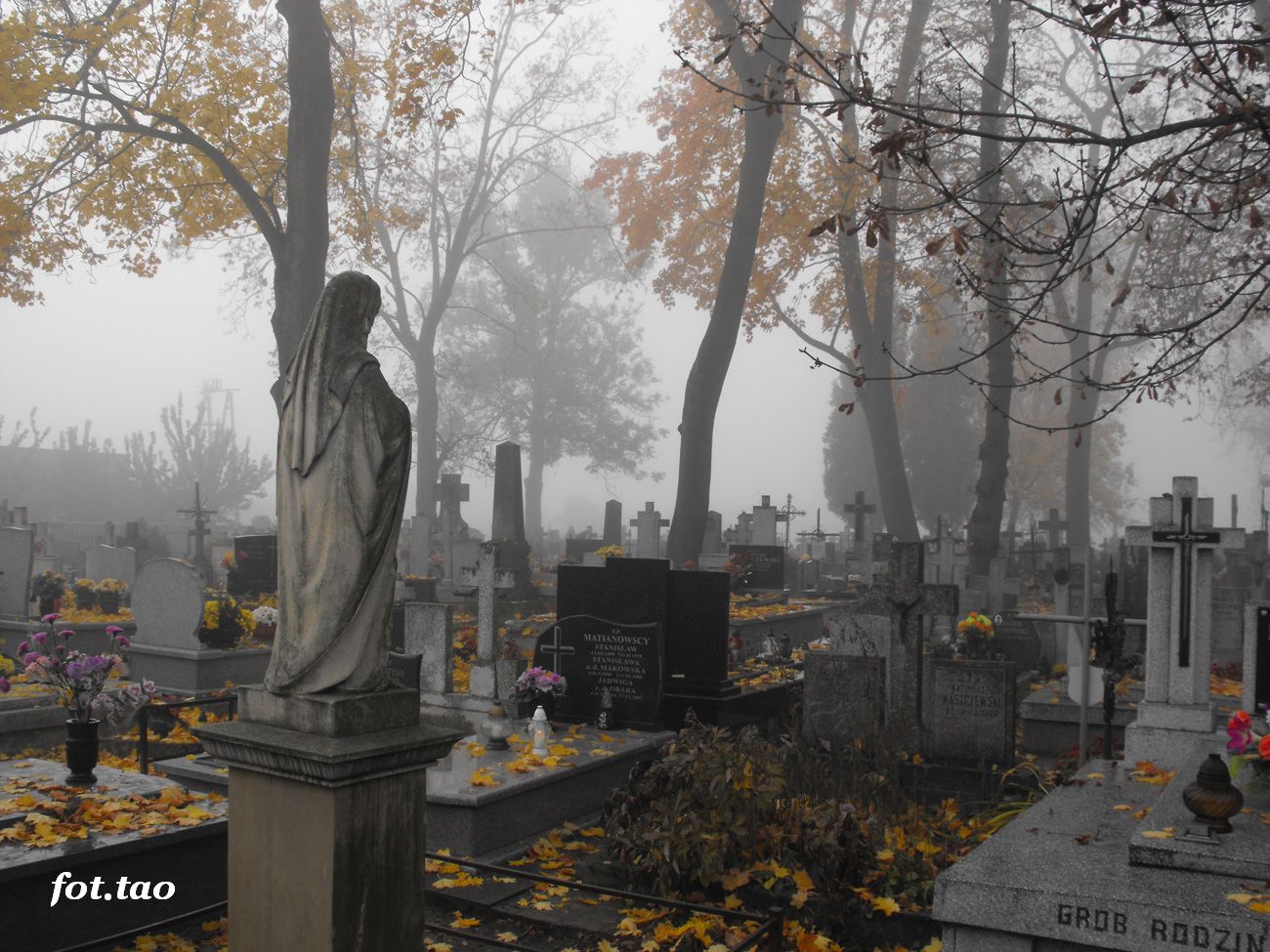 Poranna mgła. Widok na starą część cmentarza, 21.10.2012 r.