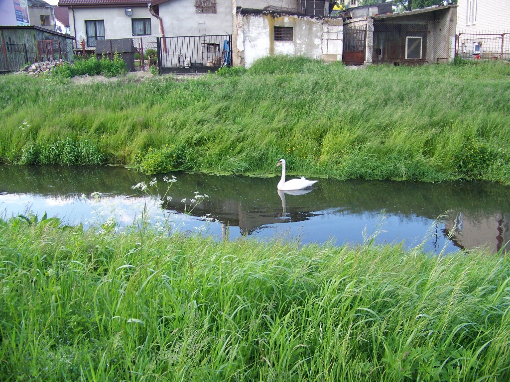 abd na Sierpienicy, 3.06.2009 r.