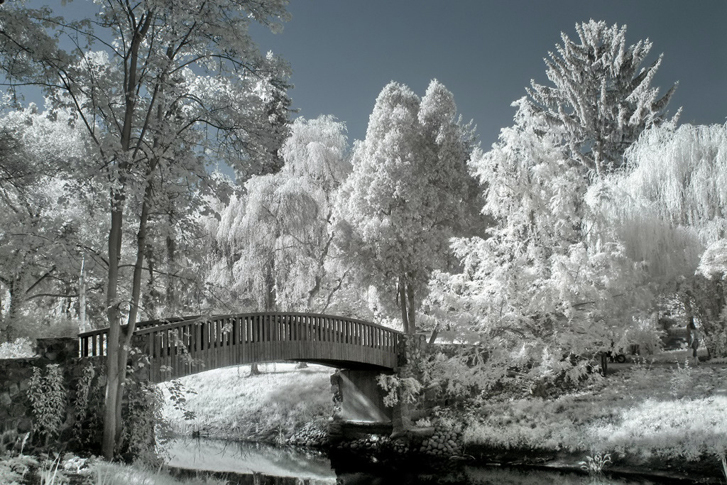 Mostek w elazowej Woli, zdjcie wykonane w lipcu 2010 r. Jedna z prac powstaych podczas XVIII Oglnopolskiego  Pleneru Plastycznego autorstwa sierpeckiego fotografa Jacka Karwowskiego.