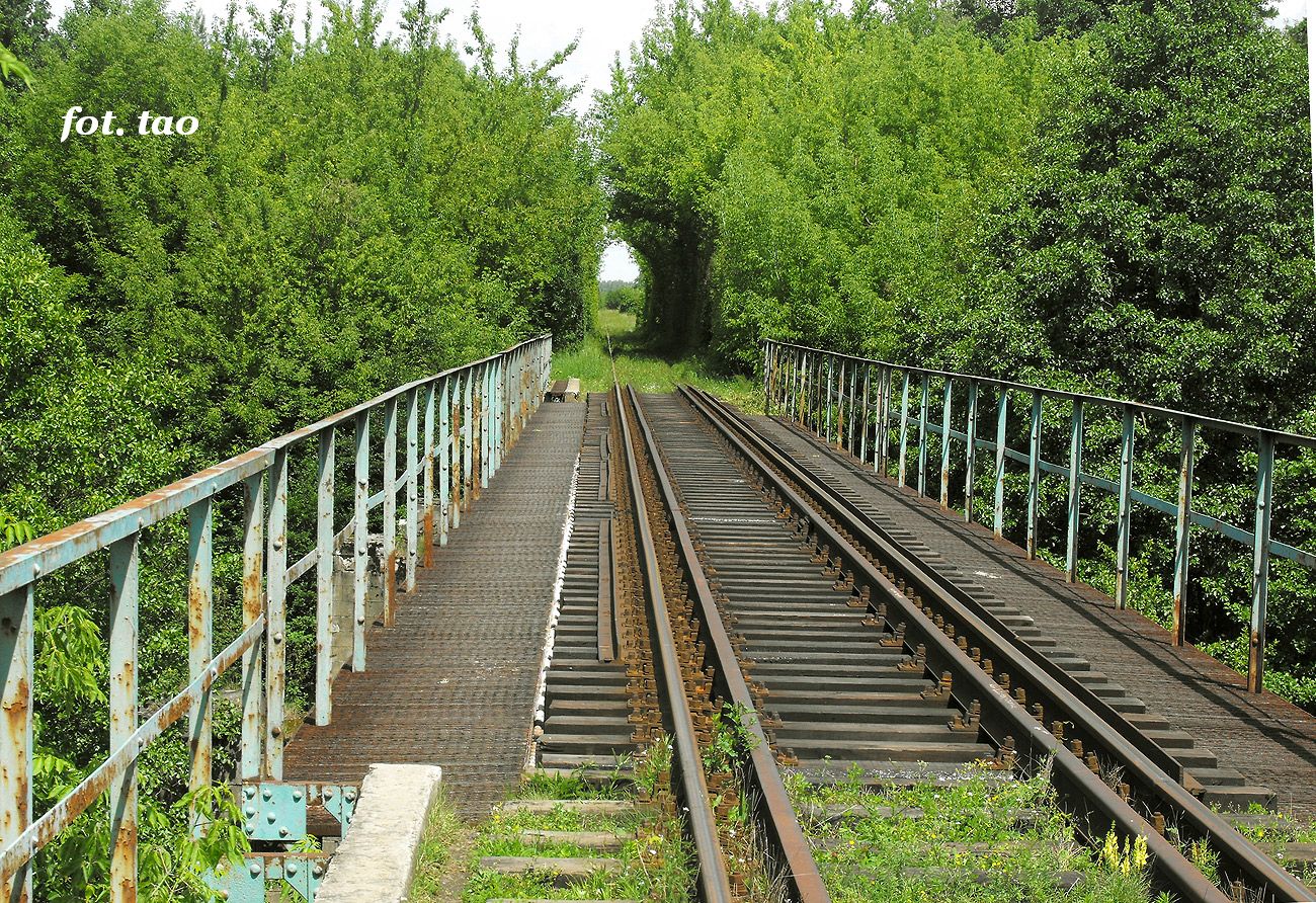 Most PKP na Skrwie na szlaku Sierpc-Brodnica  (Bojanowo-Skansen) i dalej naturalny 