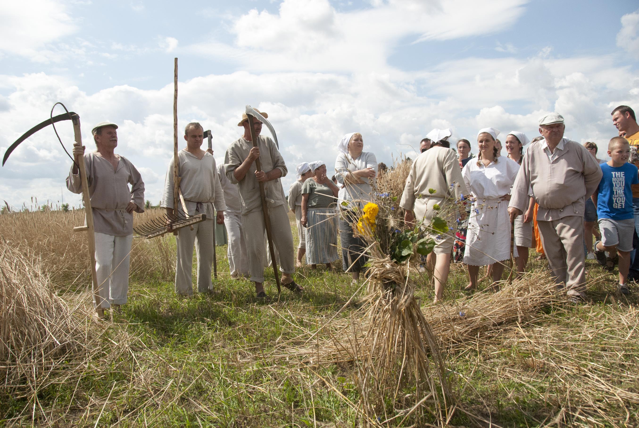 niwa w skansenie, 4.08.2019 r.