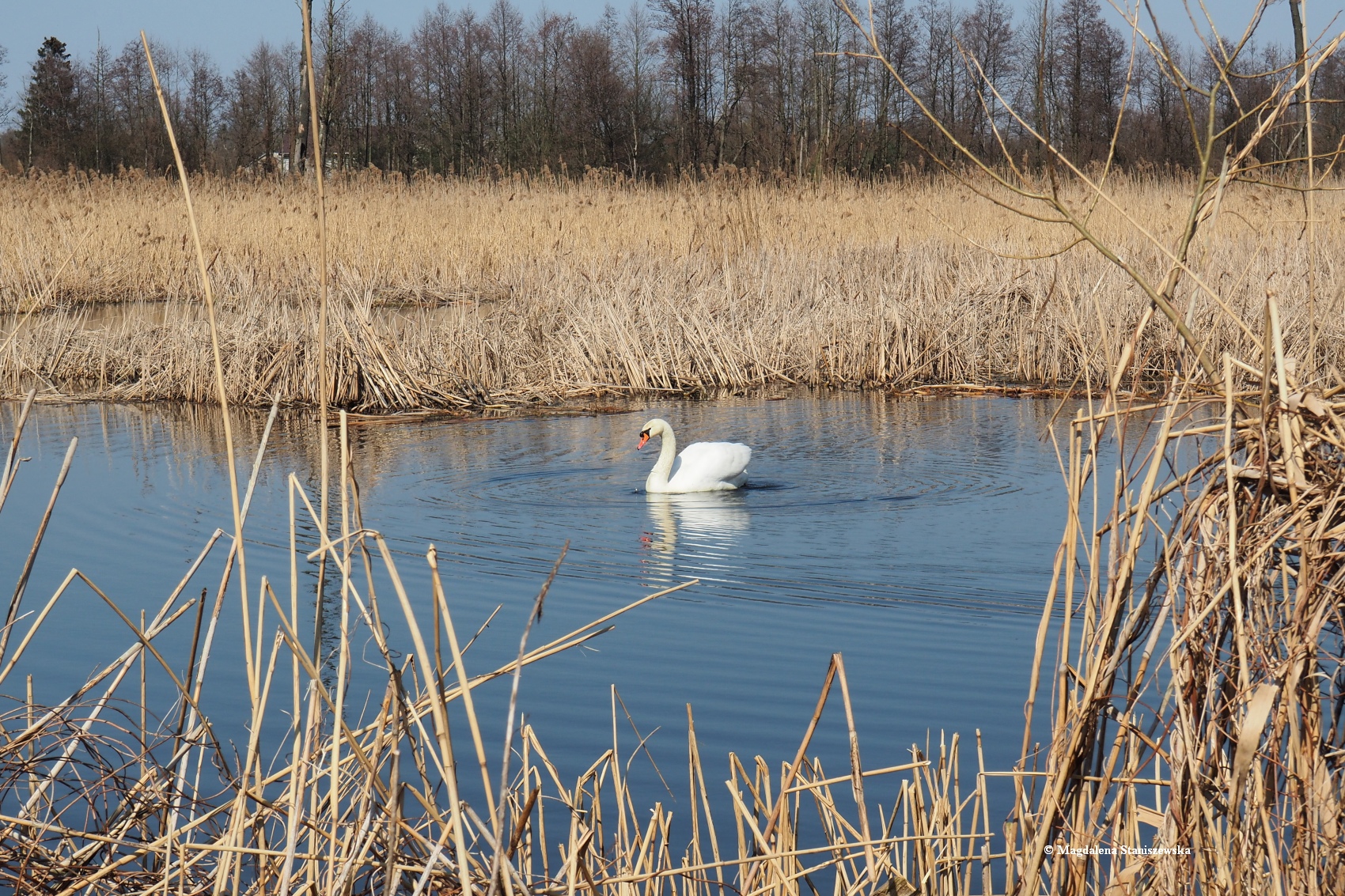 Mieszkaniec Skrwy w Nadolniku, 8.04.2018 r.