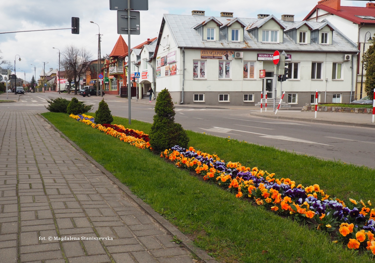 Wiosna w miecie - skrzyowanie ulic Piastowskiej i Narutowicza, 24.04.2016 r.