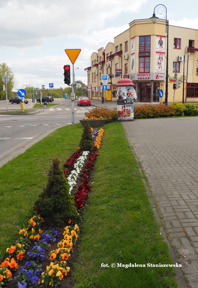 Wiosna w miecie - widok na ul. Pock i pawilon sklepowy, 24.04.2016 r.