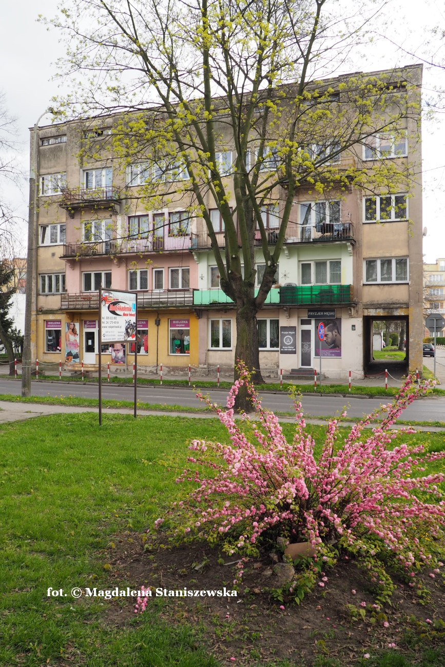 Budynek mieszkalny przy ul. Piastowskiej 31, 24.04.2016 r.
