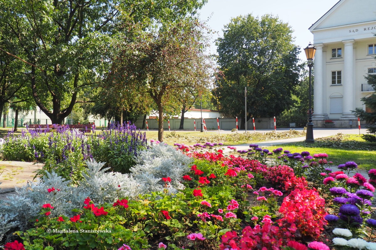 Ukwiecony Park im. Janusza Korczaka, potocznie okrelany przez sierpczan 