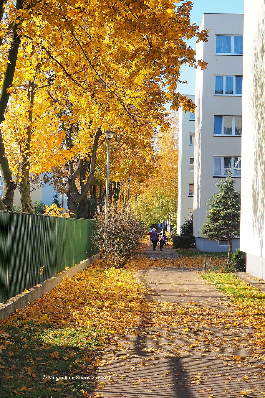 Osiedle blokw przy Liceum Oglnoksztaccym w odcieniach jesieni, 27.10.2015 r.