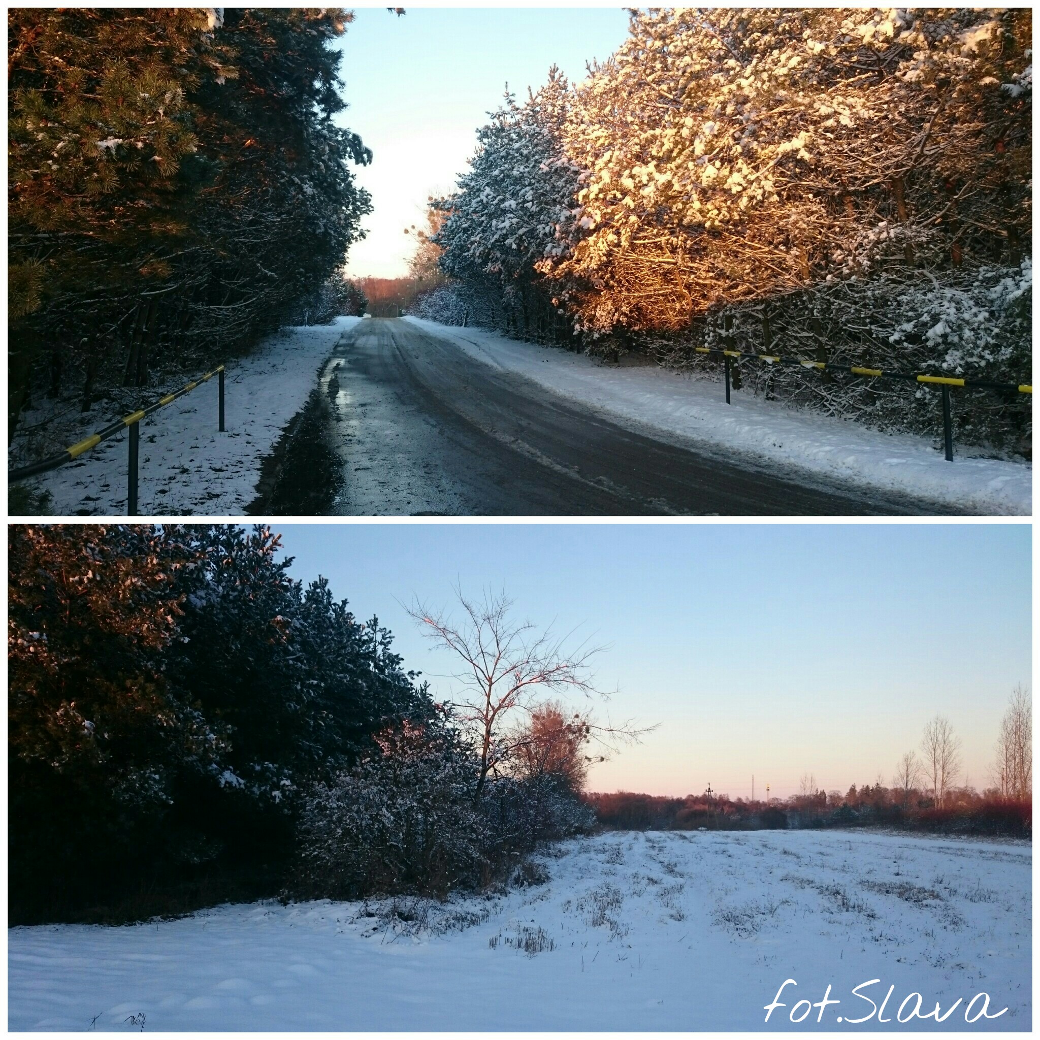 Zimowe klimaty przy wjedzie na teren Oczyszczalni ciekw w Sierpcu, 28.11.2016 r.