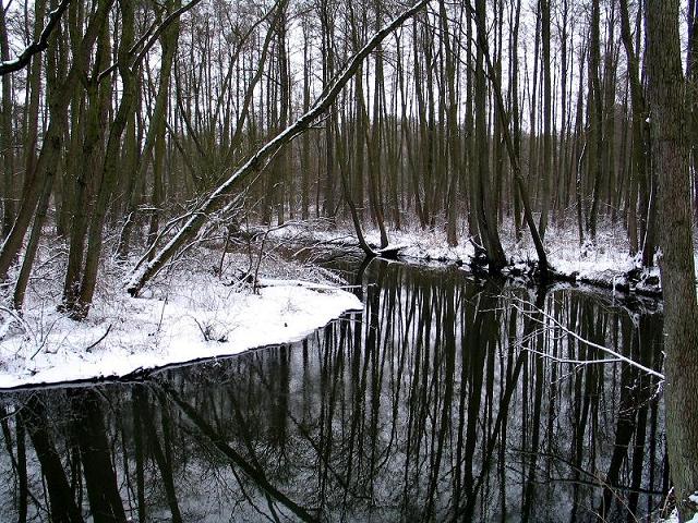 Rzeka zim