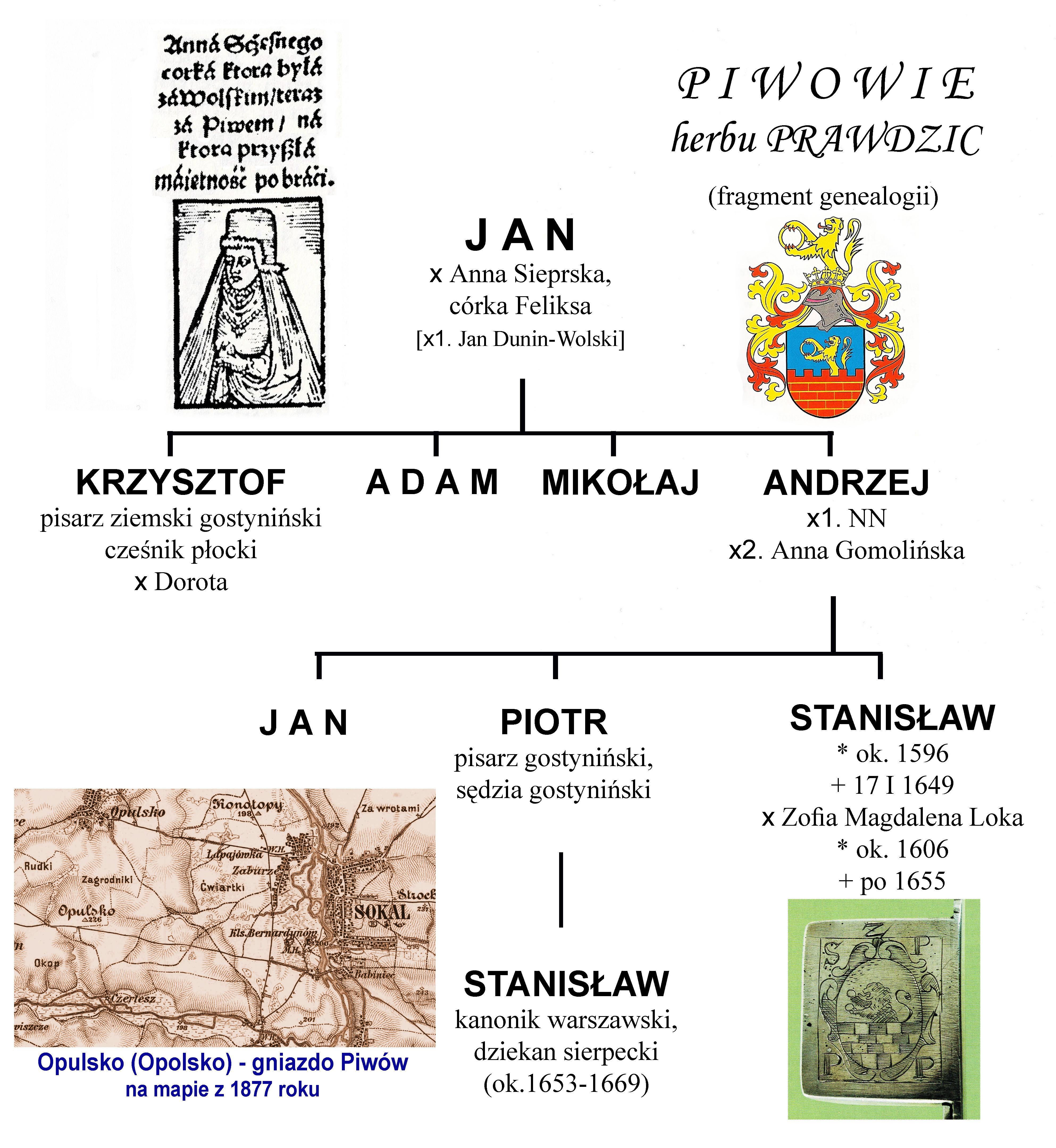 Uproszczona tablica genealogiczna rodziny Piww