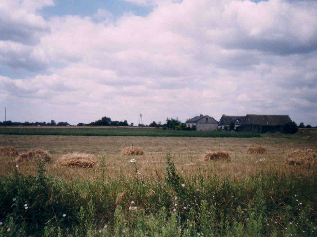 Po niwach. Kokoszczyn, sierpie 2007.