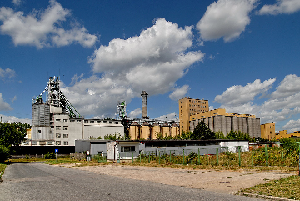 Widok na Browar z ulicy Przemysowej, lipiec 2008