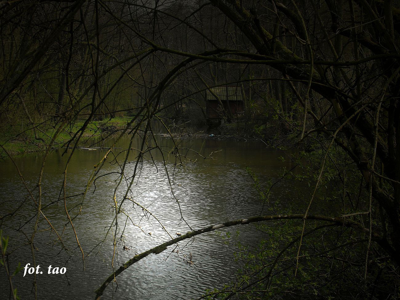 Przysta rzeczna na Sierpienicy na terenie Skansenu, kwiecie 2011 r.