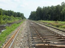 Układanie podkładów w okolicy Szczutowa, sierpień 2021 r. | wyświetleń: 8021 Układanie podkładów w okolicy Szczutowa, sierpień 2021 r.