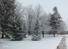 Mroźny poranek. Teren Rynku Miejskiego, gdzie w latach siedemdziesiątych powstał park zieleni, 11 grudnia 2021 r. | wyświetleń: 8063 Mroźny poranek. Teren Rynku Miejskiego, gdzie w latach siedemdziesiątych powstał park zieleni, 11 grudnia 2021 r.
