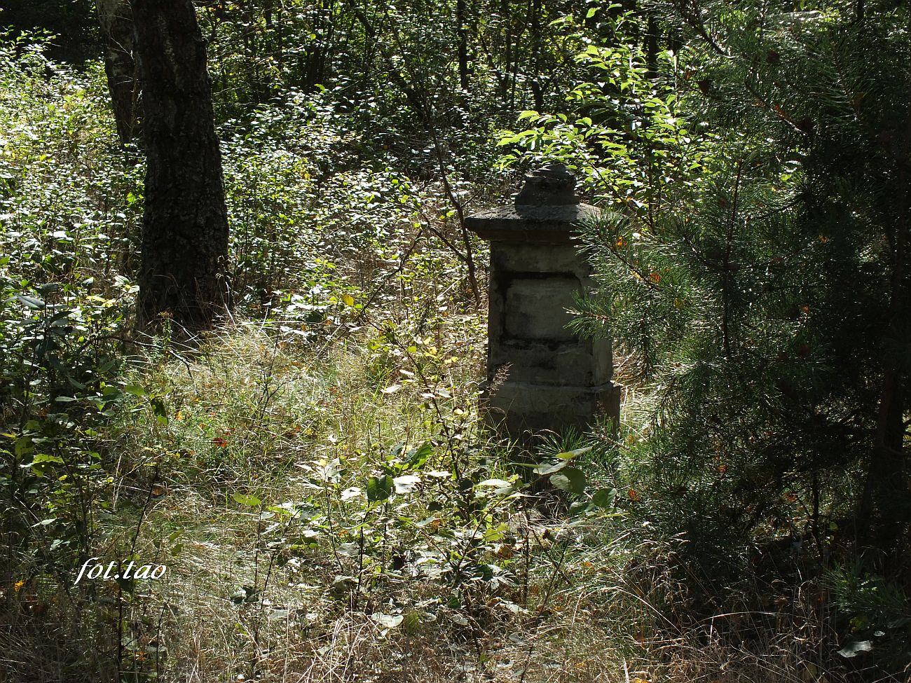 Cmentarz Ewangelicki w Oswce, wrzesie 2021 r.
