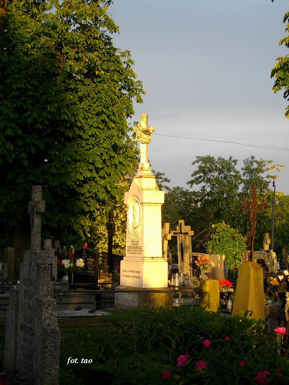 Fragment cmentarza parafialnego w Sierpcu, lipiec 2022 r.