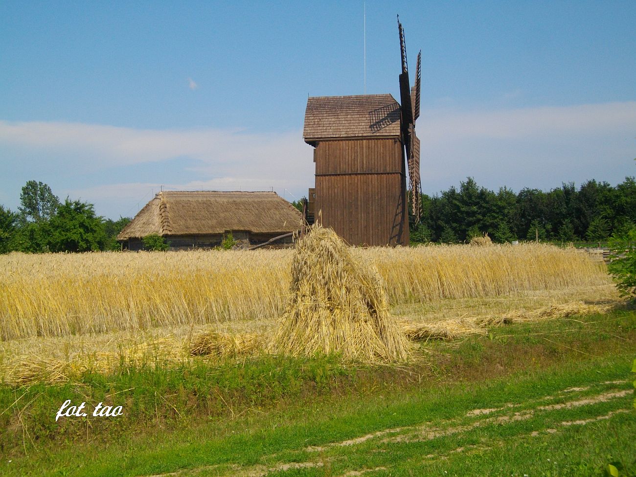 Wiatrak czeka na przyjcie zboa z tegorocznych plonw. Jak wida obrodzio w tym roku, 13.07.2021 r.