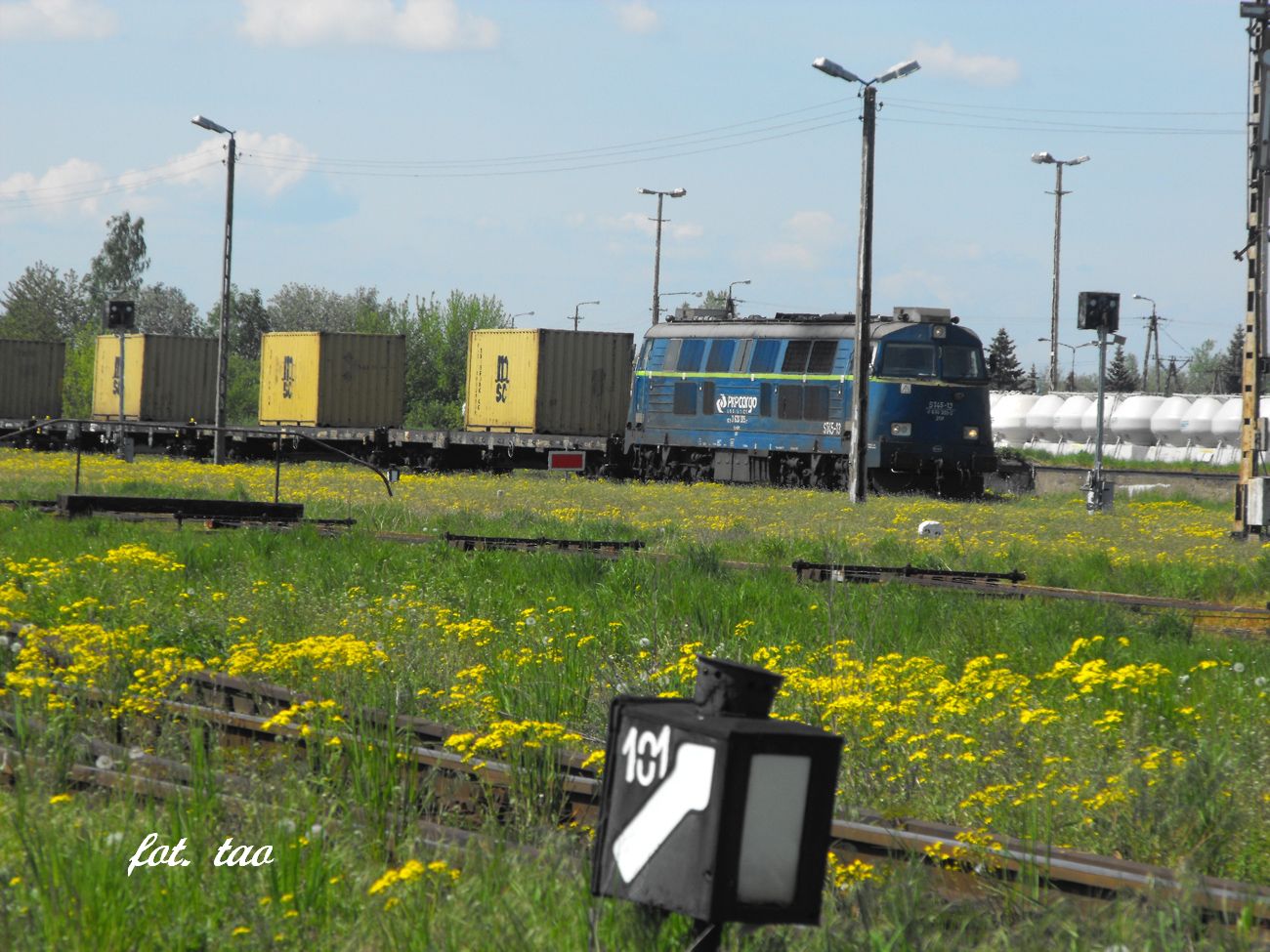 Stacja Sierpc. Skad towarowy-konte­nery  przed semaforem w Sierpcu, maj 2017 r.