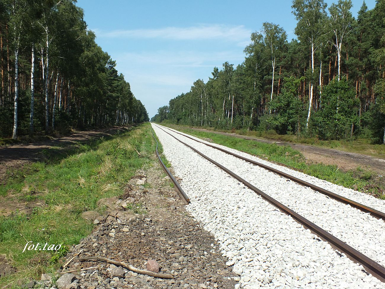 Tor gotowy do geometrii. Okolice Szczutowa, 2021 r.