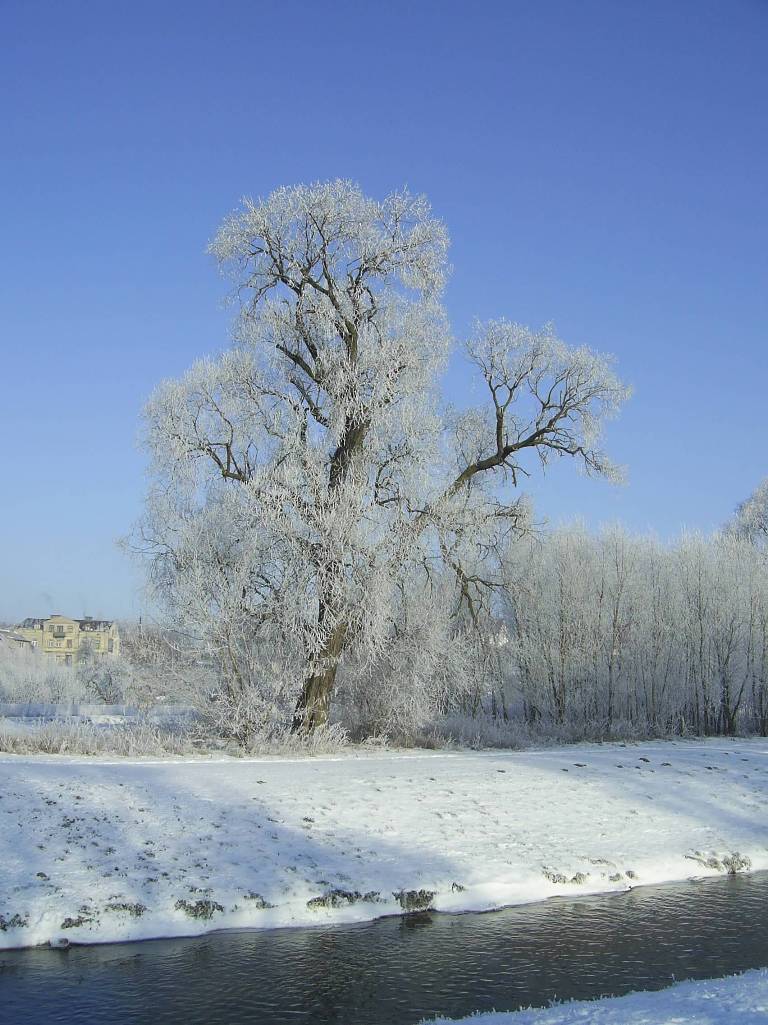 Rzeka Sierpienica