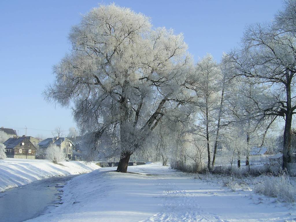 Zima i Sierpienica