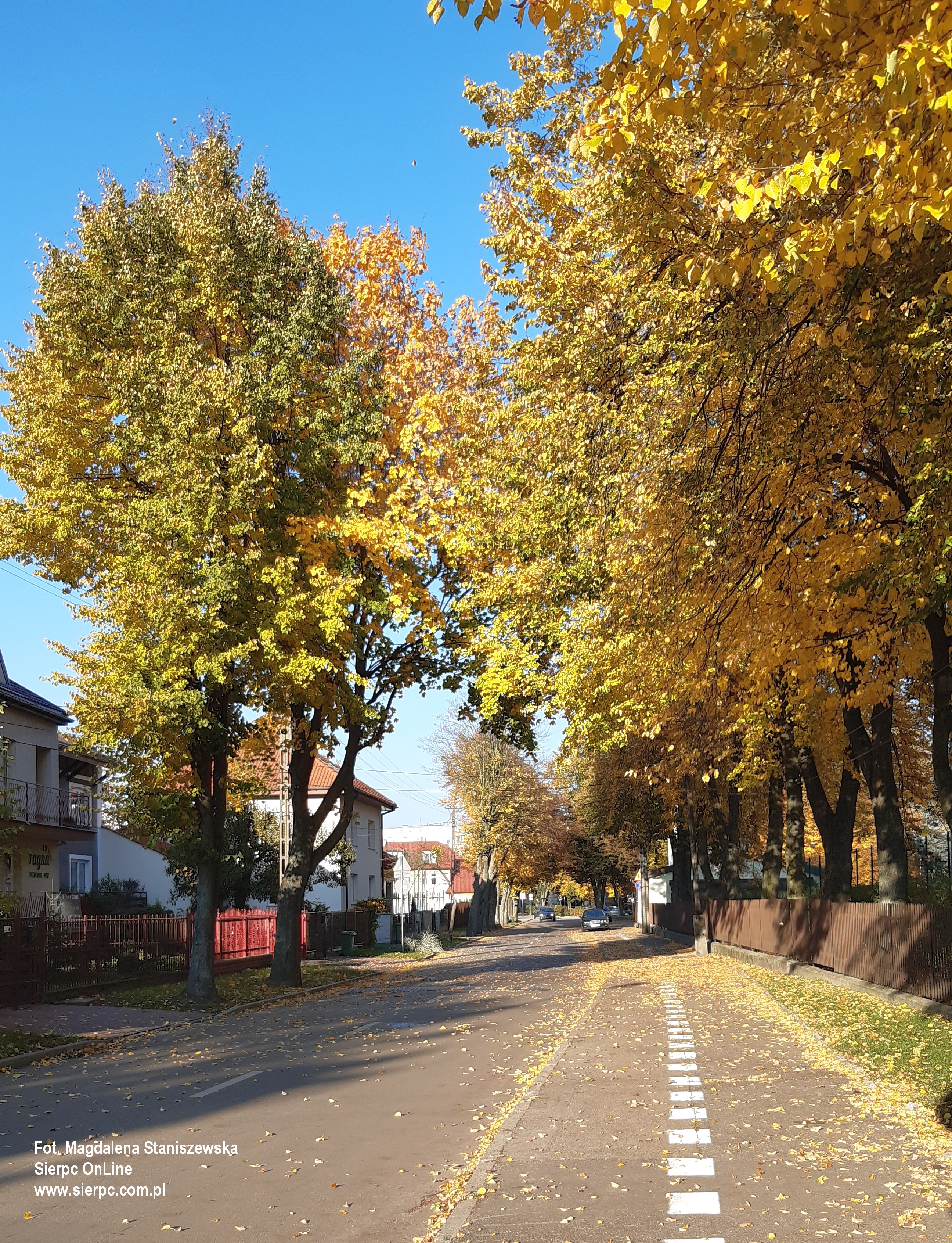 Ulica Sienkiewicza, 25.10.2020 r.