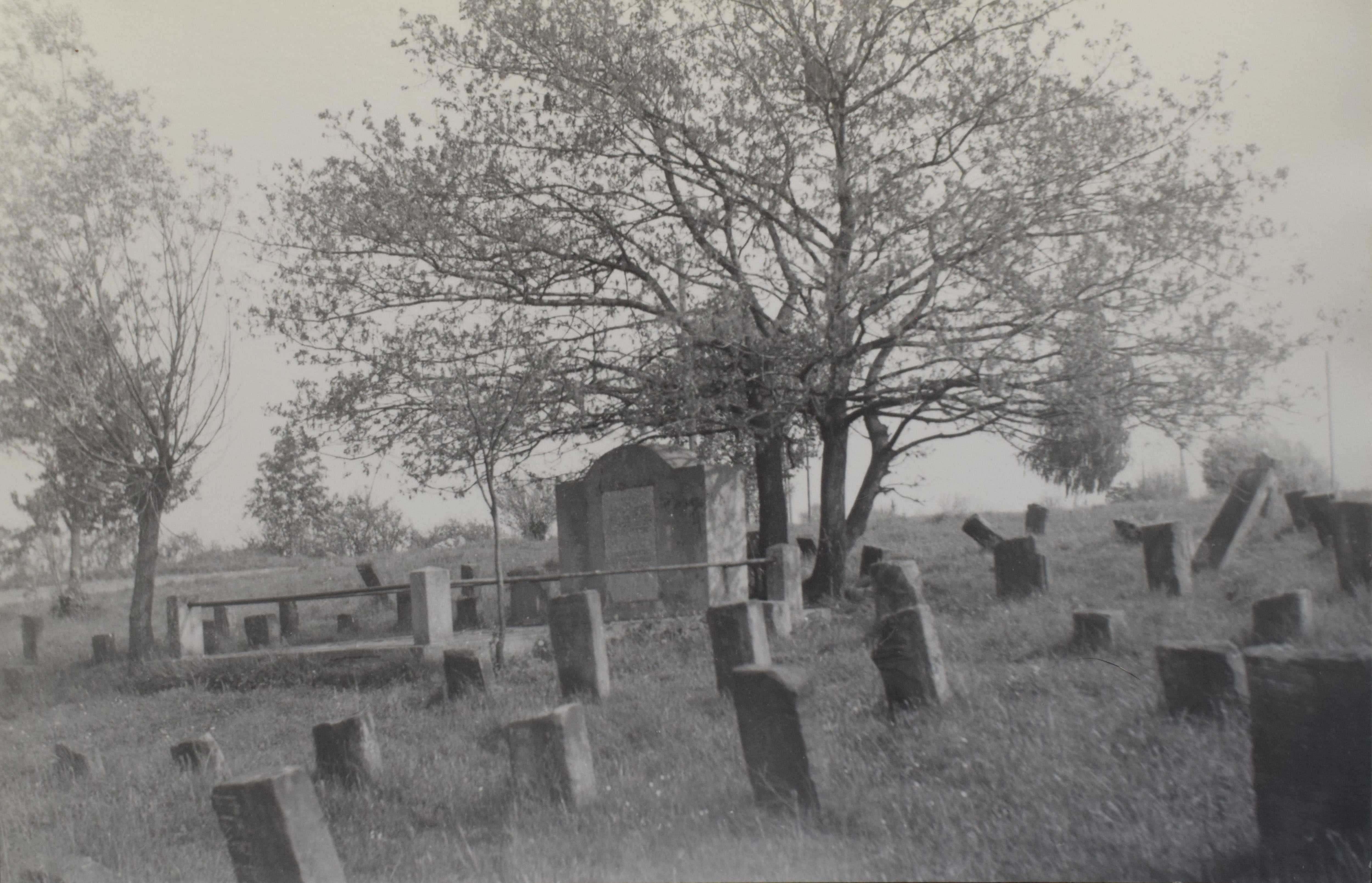 Cmentarz �ydowski w&nbsp;Sierpcu, ok. 1963 roku. Autorem zdj�cia jest dr Jerzy Niklewski z&nbsp;Wydzia�u Geologii UW. Film dost�pny w&nbsp;Muzeum Geologii UW.