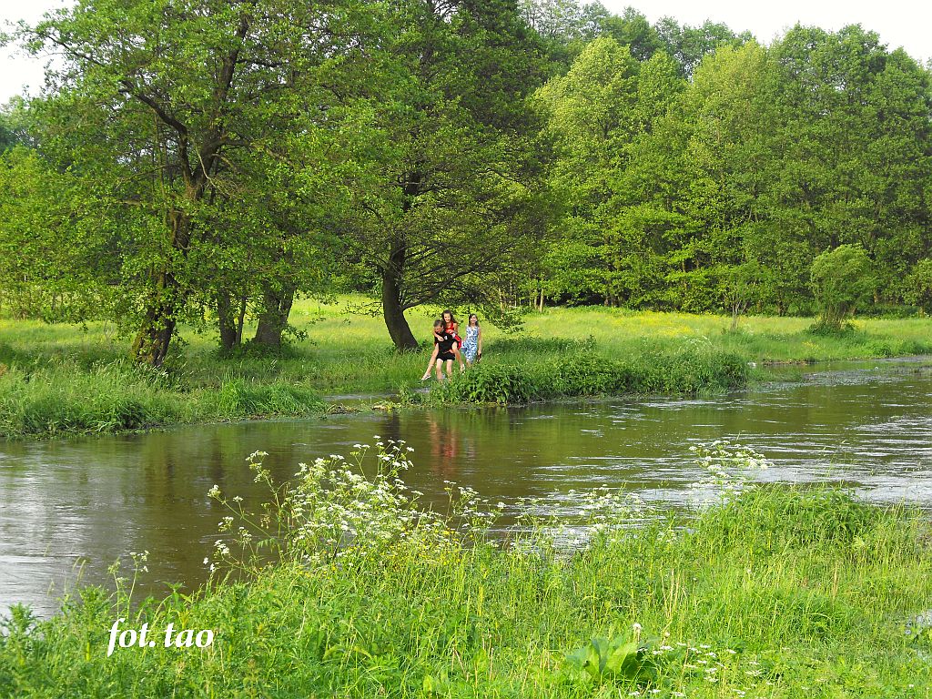 Wielka woda na Sierpienicy i ryzykowne zabawy mieszkacw, 3.06.2010 r.