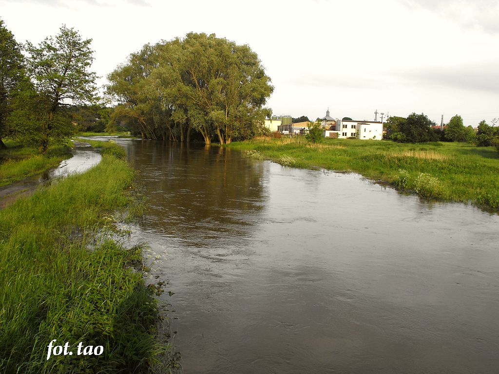 Wielka woda na Sierpienicy, widok od strony k za Mleczarni, 3.06.2010 r.