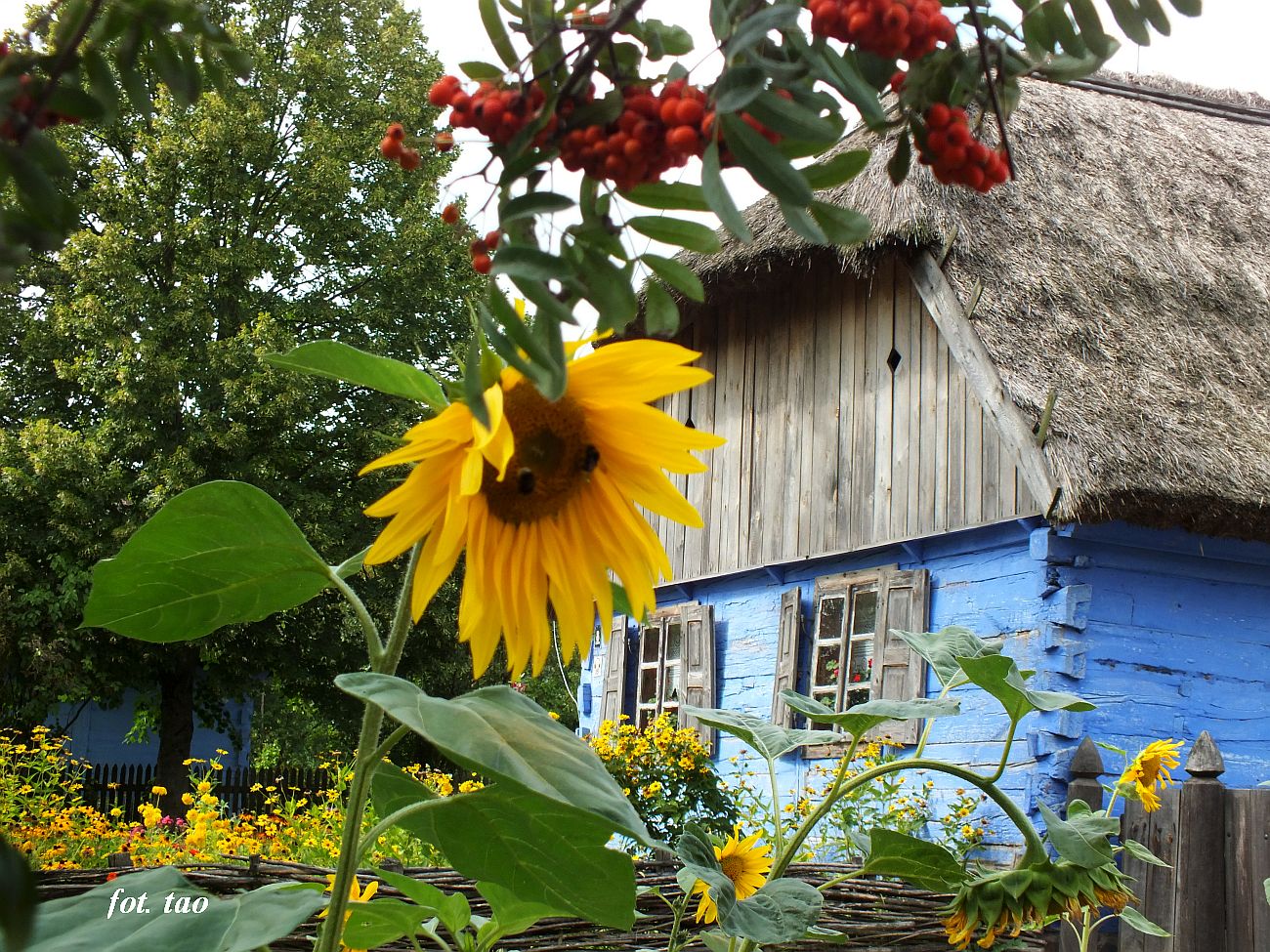 Skansen. Chaupa z Czermna, sierpie 2024 r.
