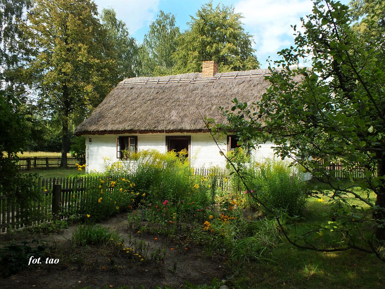 Skansen szkoa, 2024 r.