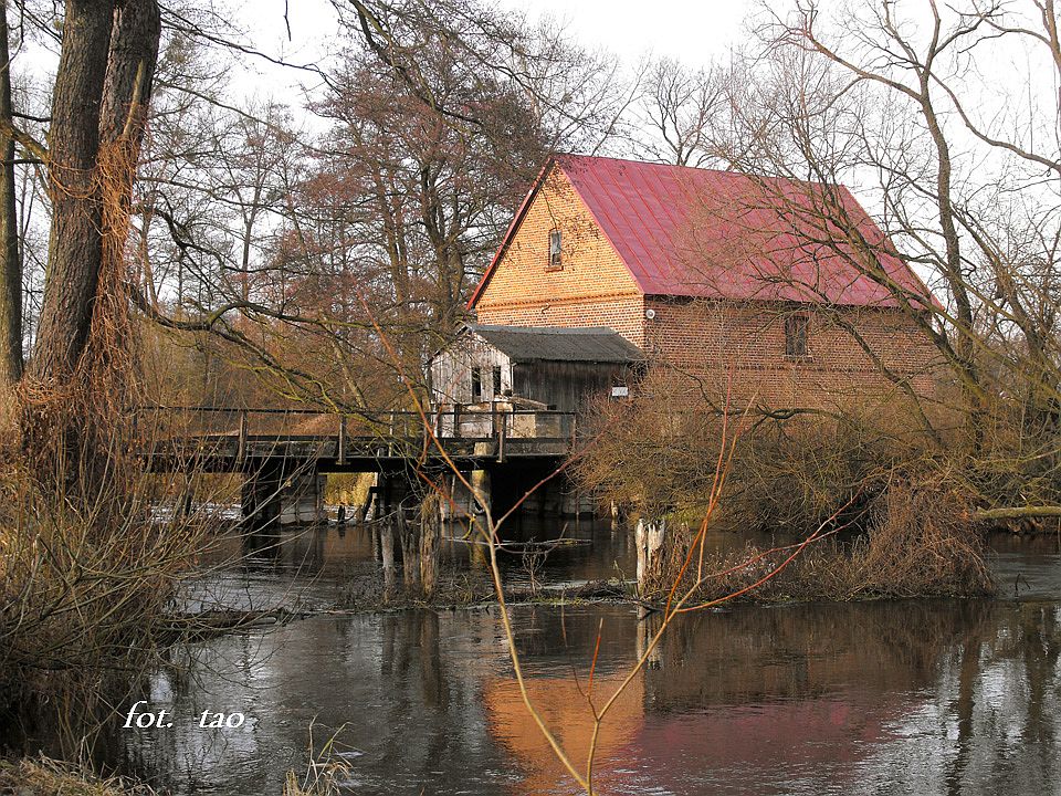 Myn w Sulkowie Rzecznym (gmina Mochowo, powiat sierpecki), 29.11.2009 r.