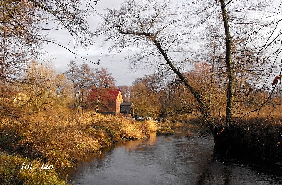 Myn w Sulkowie Rzecznym, 29.11.2009 r.