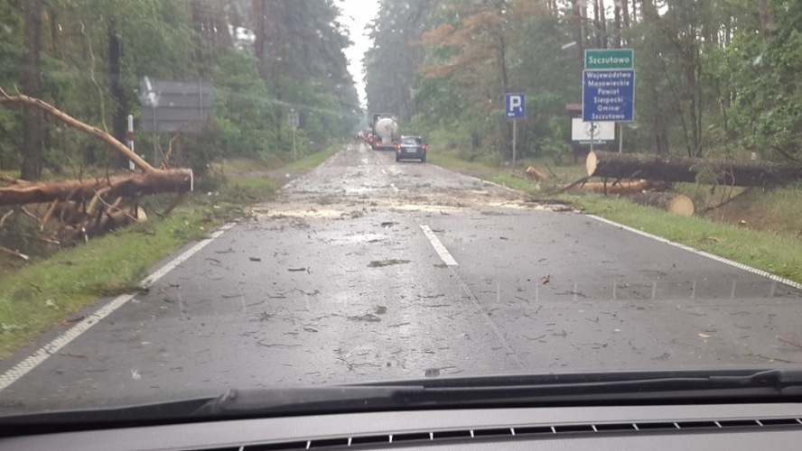 Droga wojewdzka obok orodka wypoczynkowego w Szczutowie, 18.07.2015 r.