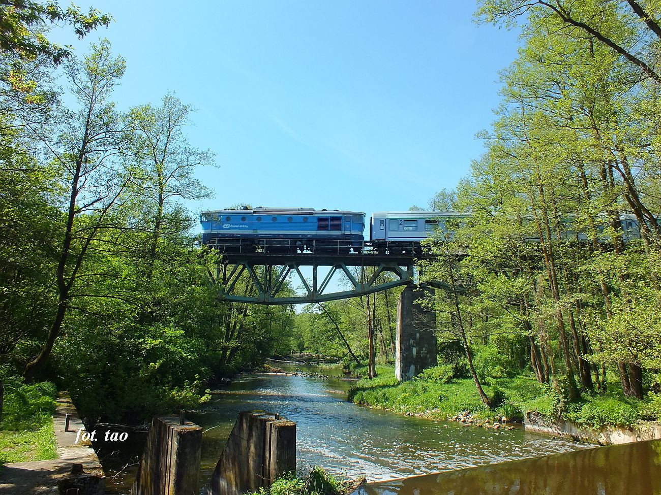 TLK Flisak na mo�cie nad rzek� Skrw�. Fotografia wykonana z&nbsp;terenu ruin pompowni PKP, maj 2024&nbsp;r.