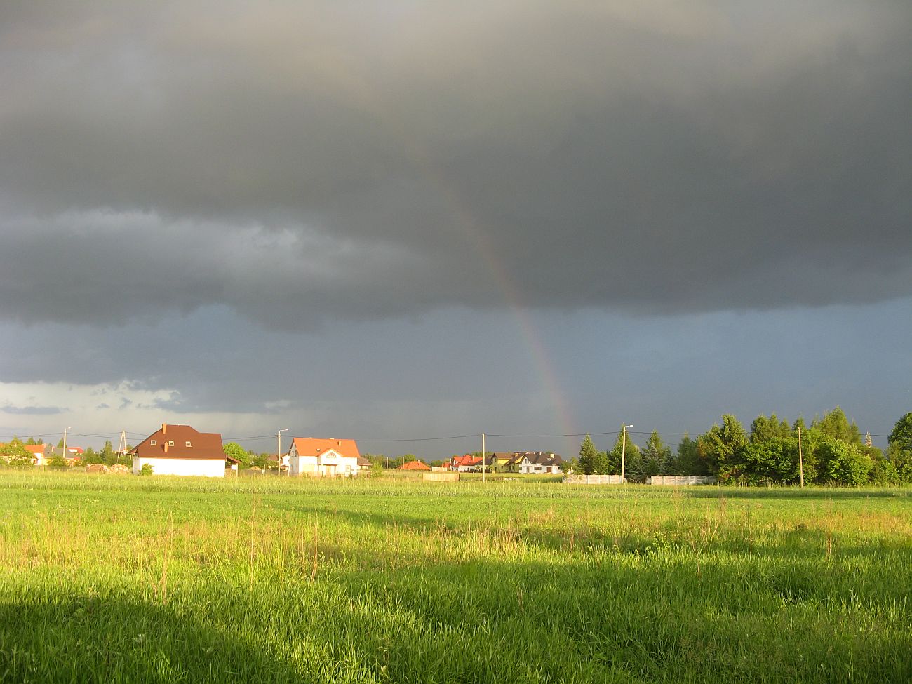 Tcza nad Sierpcem, 1.06.2013 r.