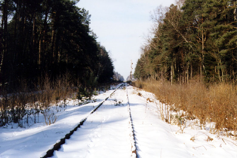 Tor kolejowy na trasie Sierpc - Szczutowo