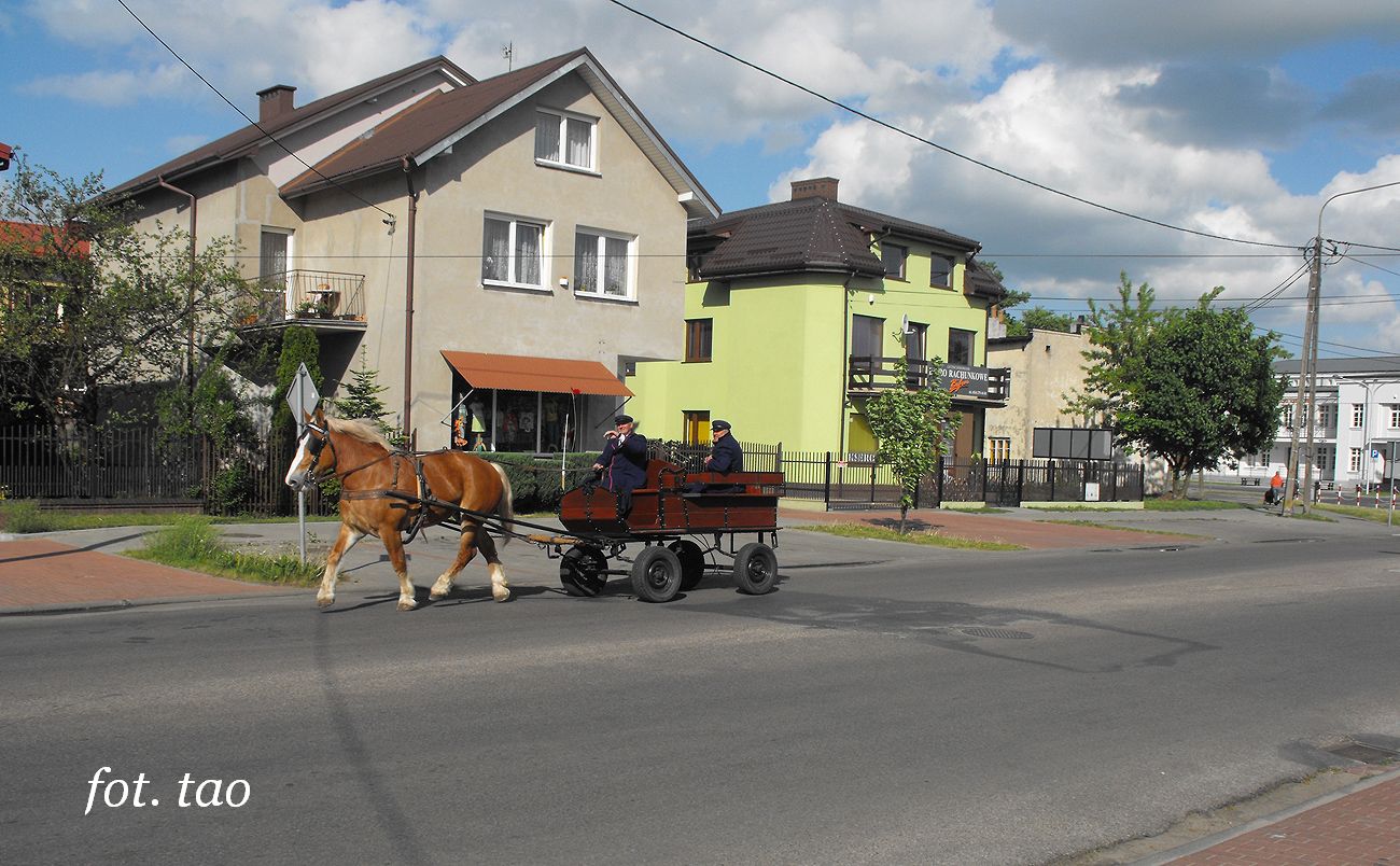 Zaprzg konny na ul.Traugutta, 12.05.2012 r.