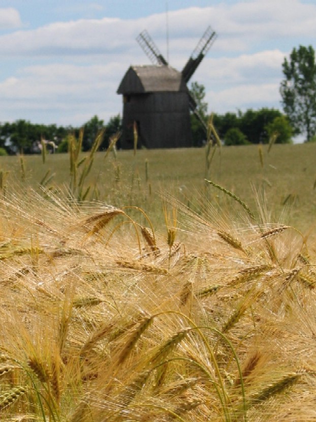 Lato na skansenie