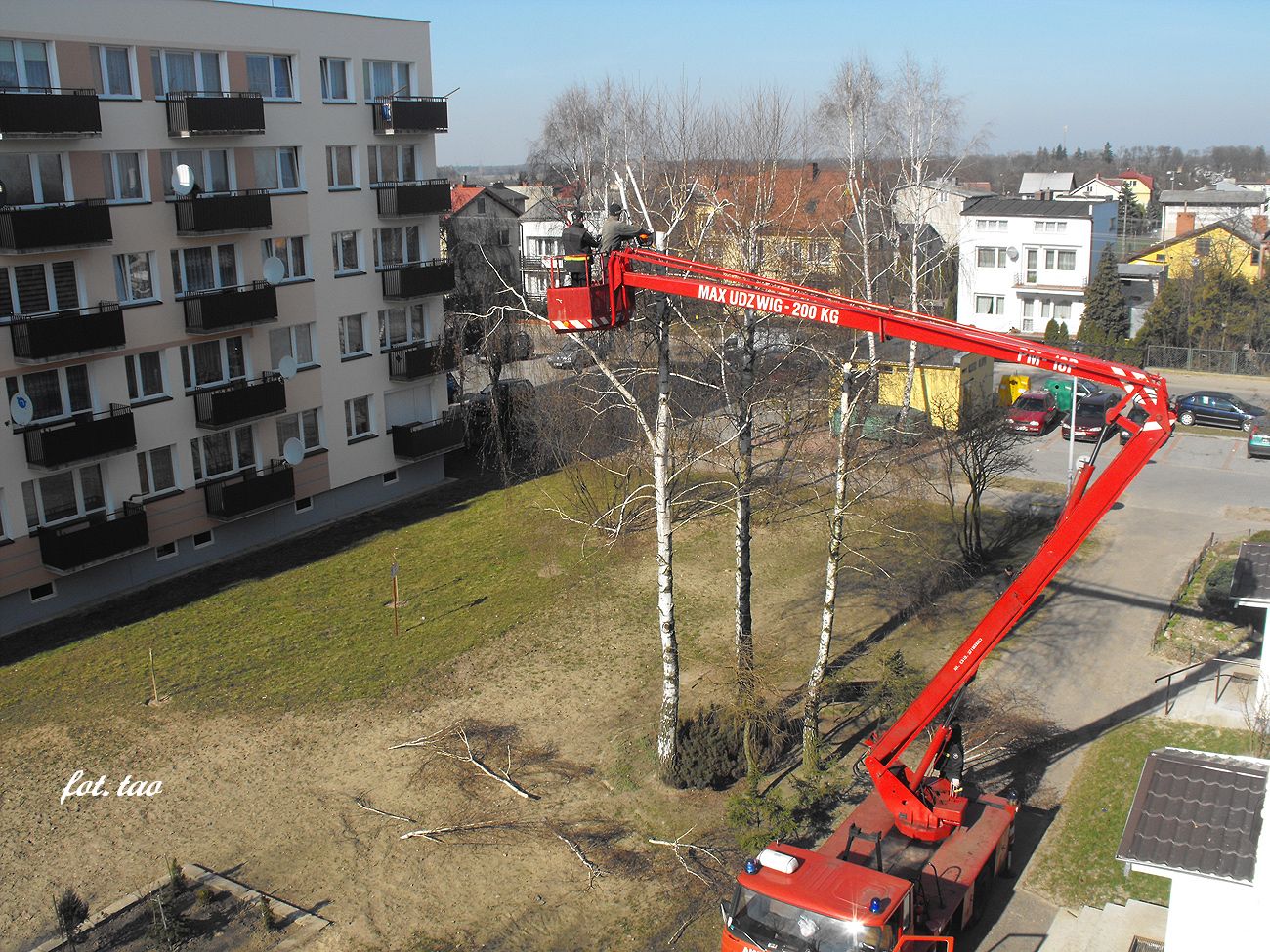 Wiosenne przycinanie drzew na terenie Spdzielni Mieszkaniowej to praca dla odwanych, 10.03.2014 r.