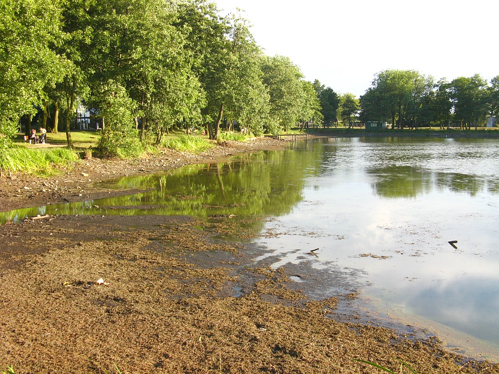 Wody coraz mniej - 5 lipca 2008 r.