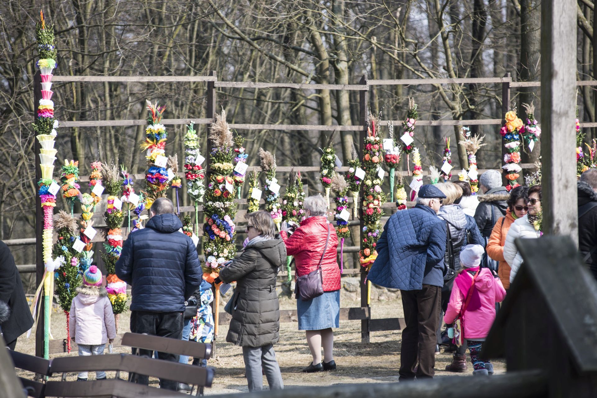 Wyboru najpiknie­jszych  palm dokonaj zwiedzajcy skansen