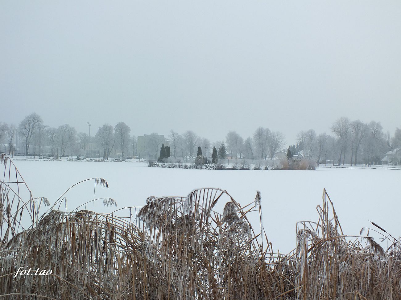 Park Jezirka, 11 grudnia 2021 r.