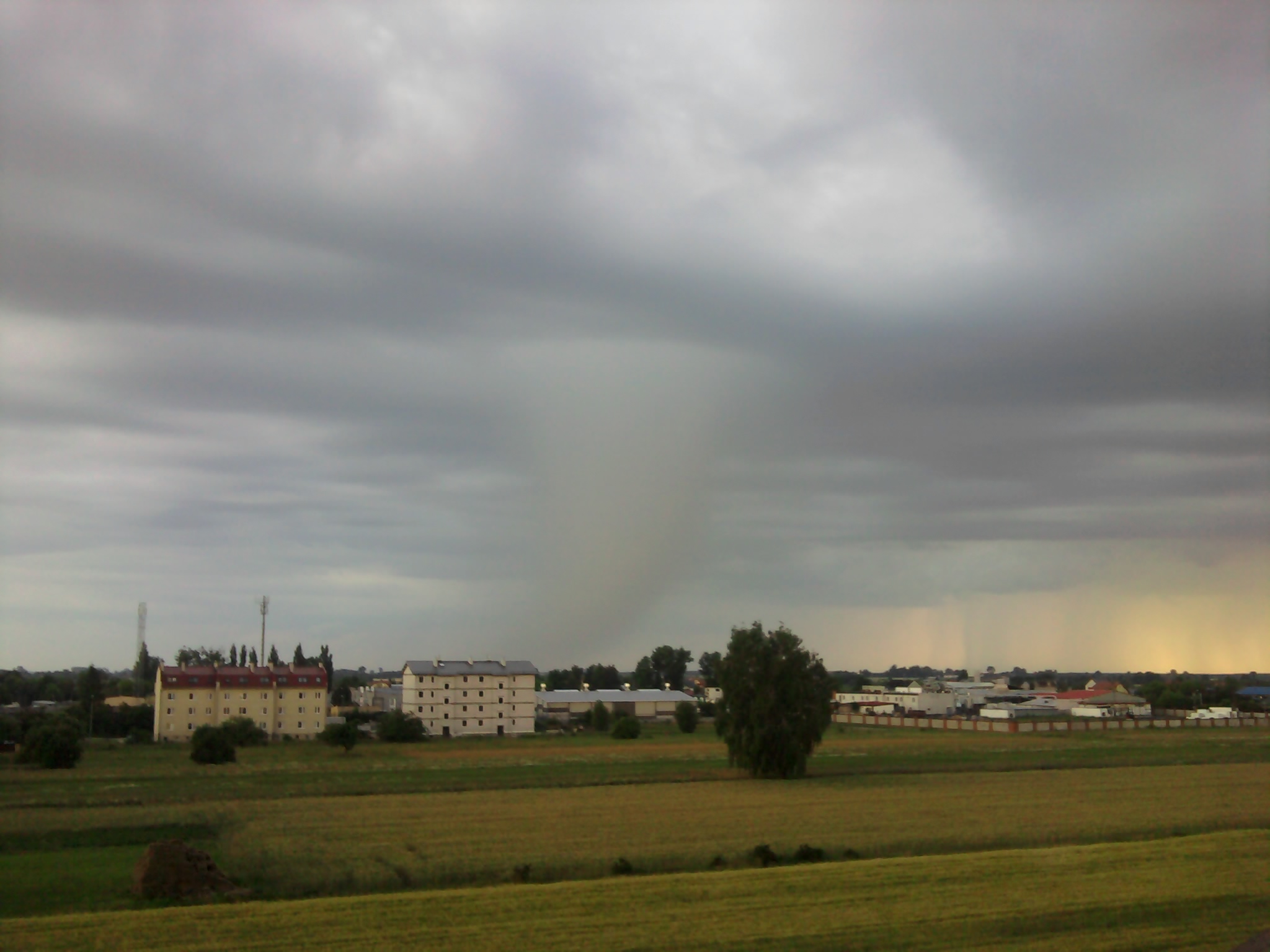 Widok na dwa bloki przy ulicy Poziomkowej, 29.06.2011 r.