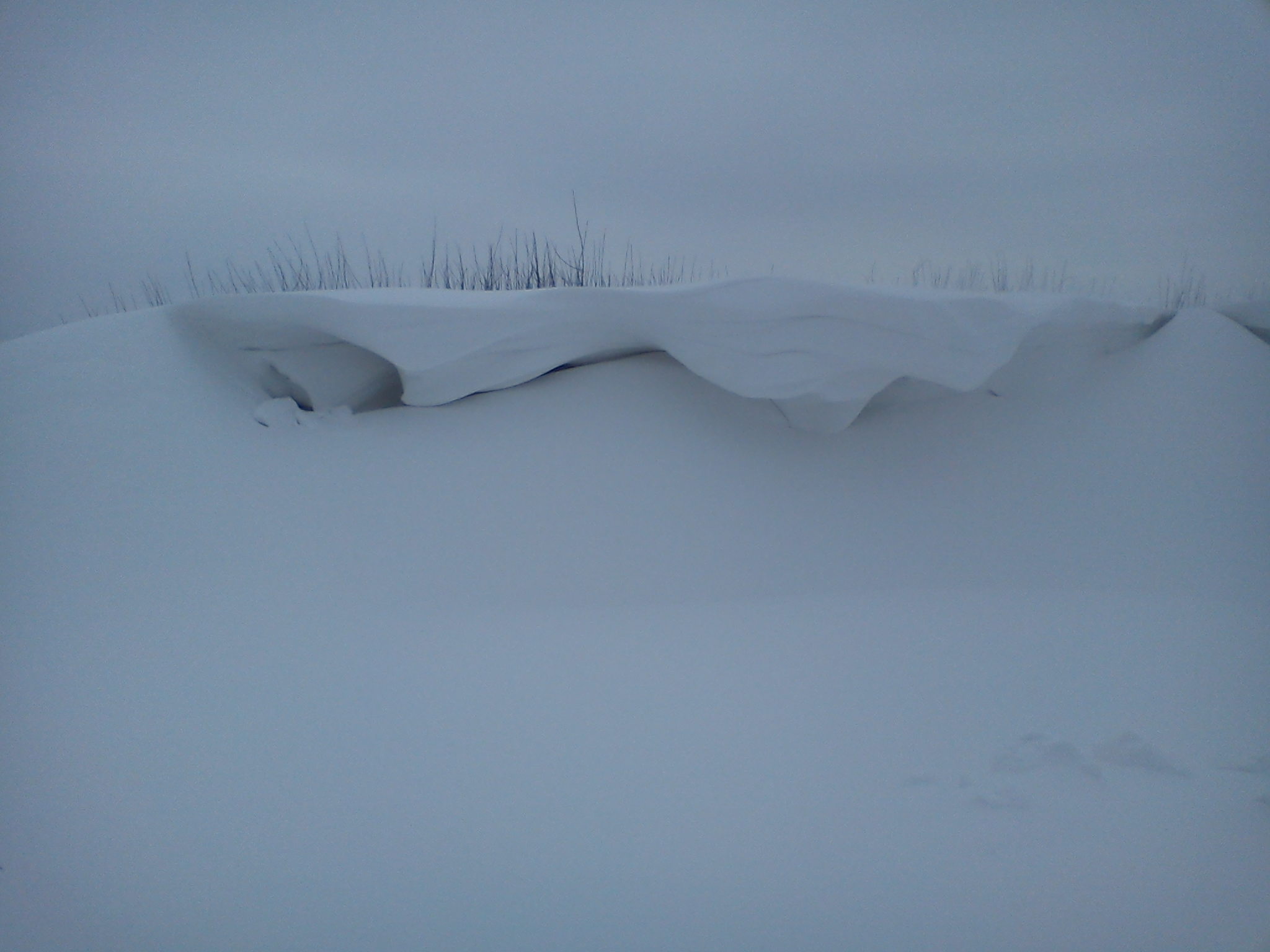 Odcinek drogi Warzyn Skry - Goleszyn. Zaspy sigaj 2 metrw, 31.01.2014 r.