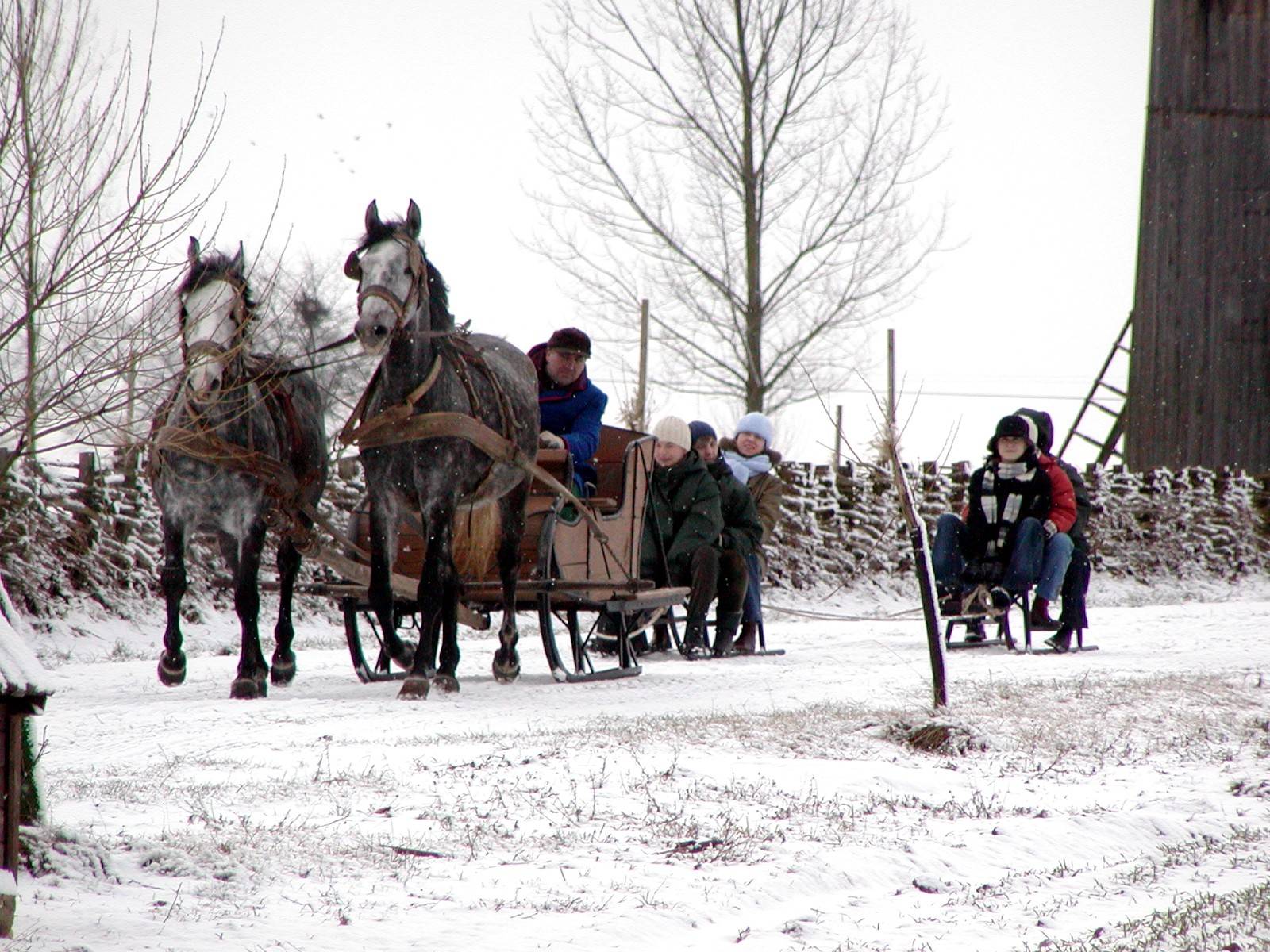 Kulig w skansenie, 2010 r.