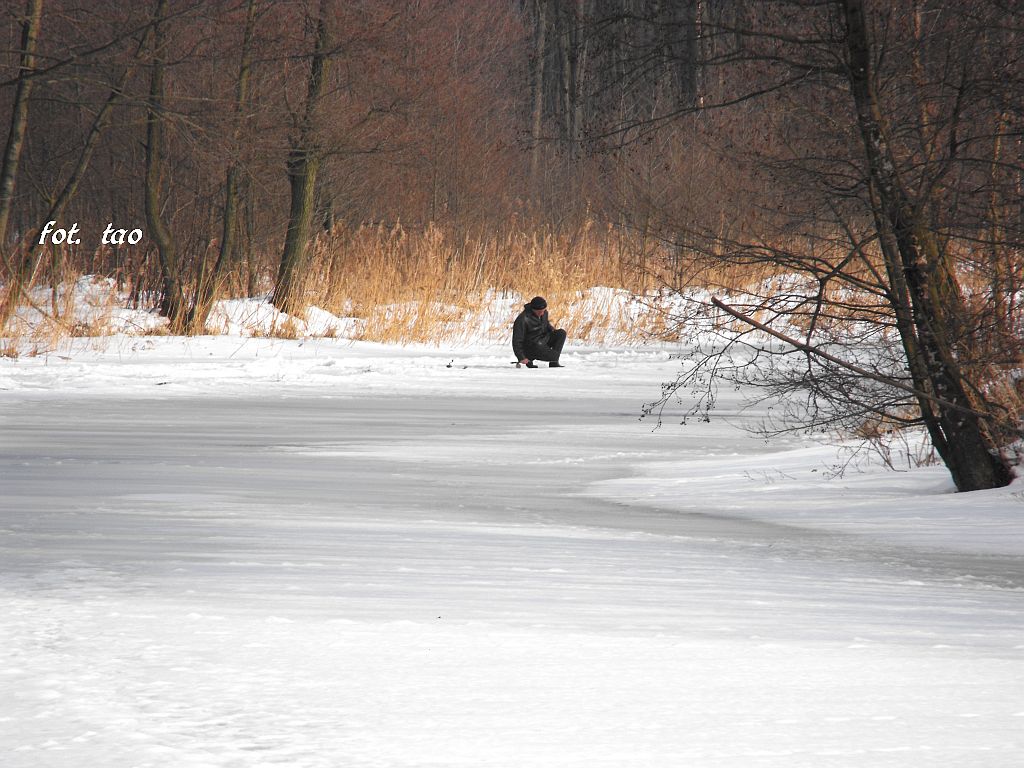 Skrwa w Choczniu. Zimowe wdkowanie, 21.02.2010 r.