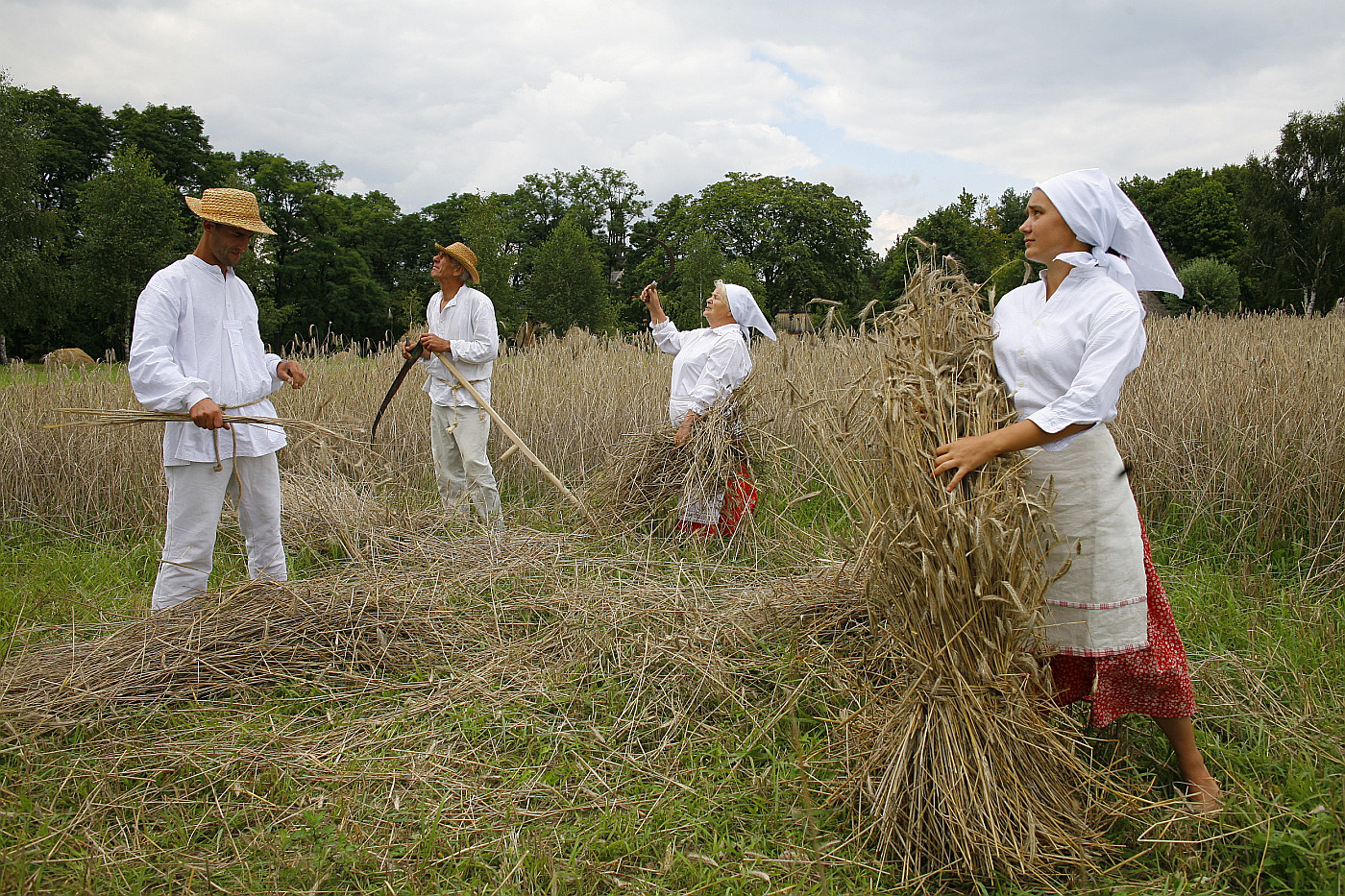 niwa w skansenie 2011